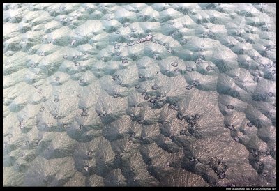 More frost patterns on black cars